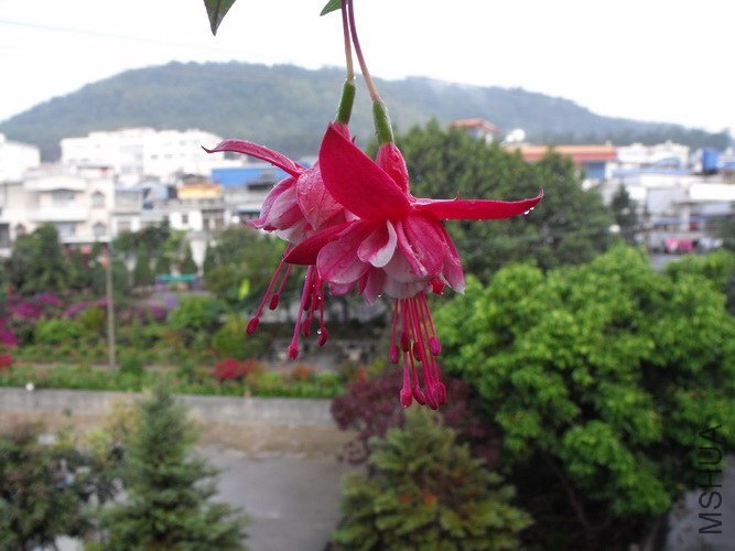 DSCF2659.JPG