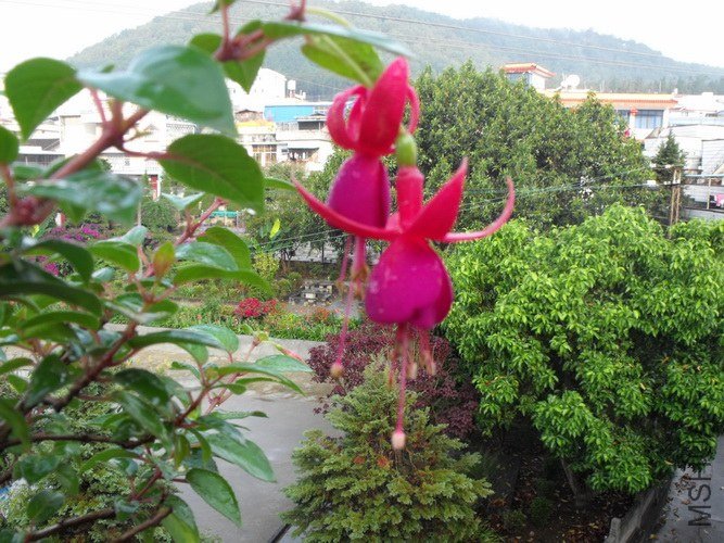 DSCF2662.JPG