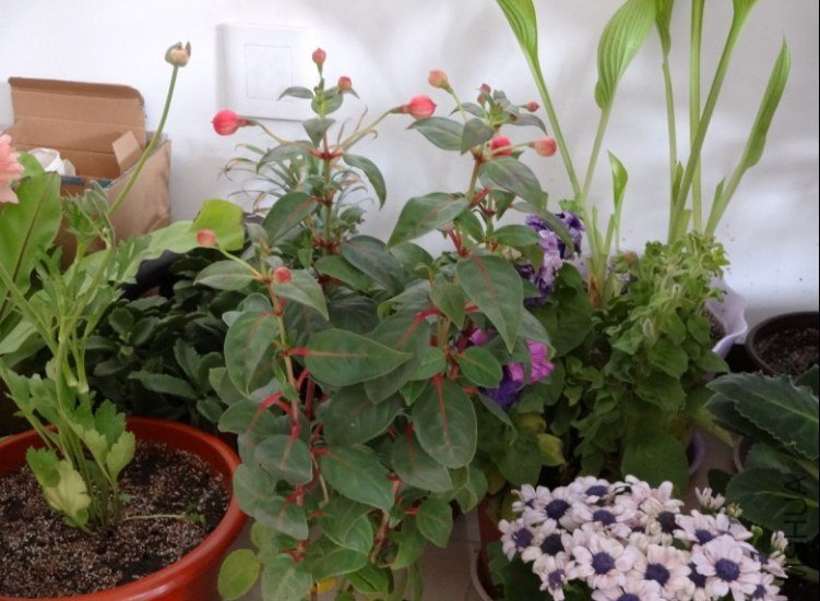 ���ҽ���10��