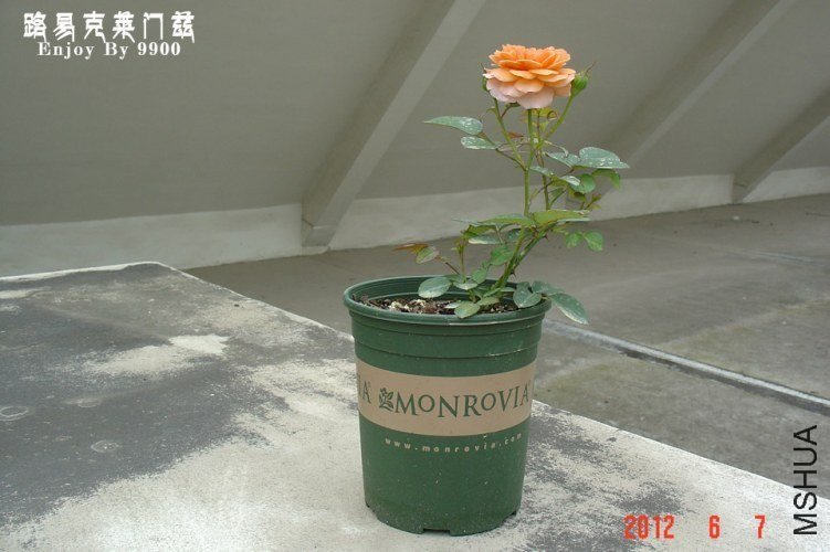 ·��˹��������6 of 9900.jpg