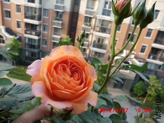 ·��˹��������9 of tyfsxf.jpg