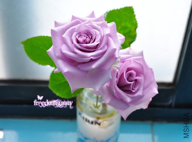 QQ��ͼ20130504135929.jpg