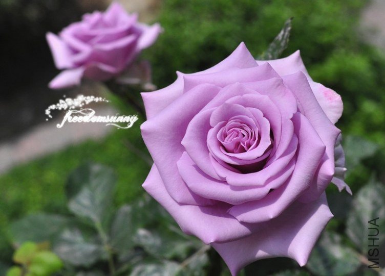 QQ��ͼ20130504140029.jpg