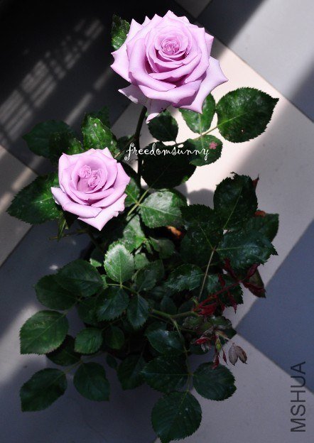 QQ��ͼ20130504141955.jpg