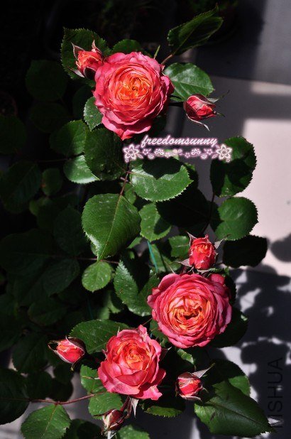 QQ��ͼ20130504142507.jpg
