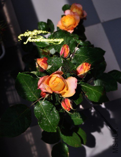 QQ��ͼ20130504142533.jpg