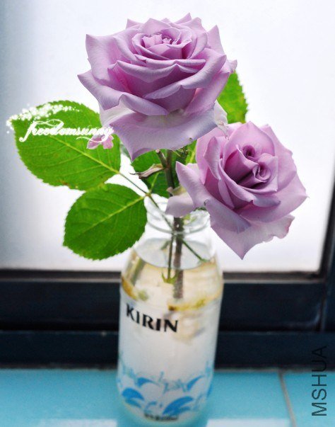 QQ��ͼ20130504142954.jpg