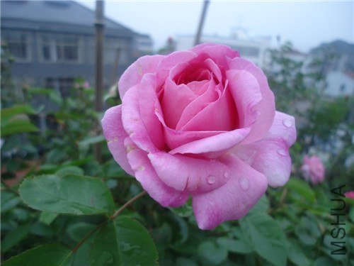 DSC02799.jpg