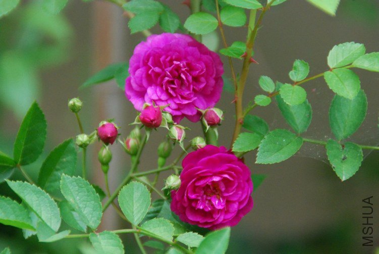 DSC_0355.JPG