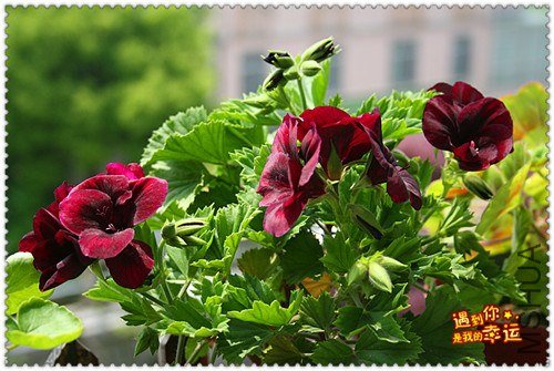 ��Ƭ 053_����.jpg