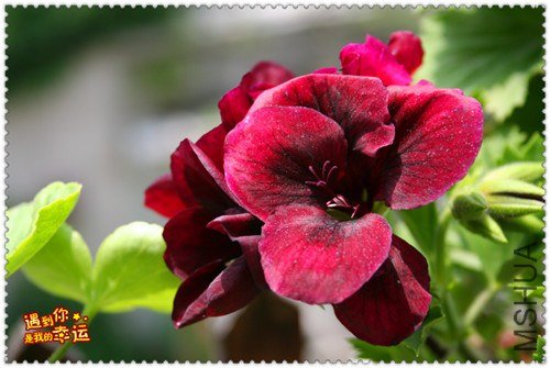 ��Ƭ 055_����.jpg