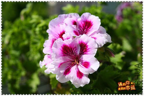 ��Ƭ 140_����.jpg