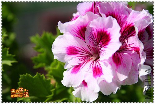 ��Ƭ 142_����.jpg