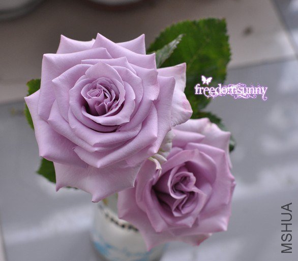 QQ��ͼ20130504174322.jpg