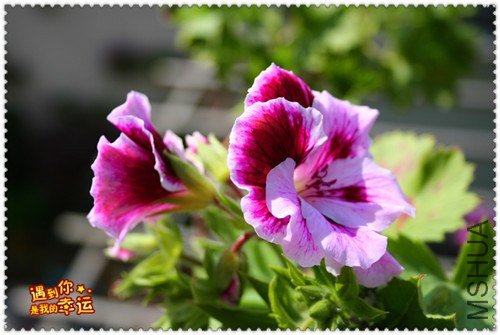 ��Ƭ 143_����.jpg