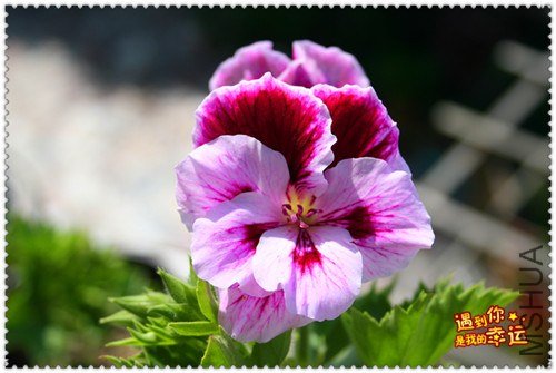 ��Ƭ 144_����.jpg