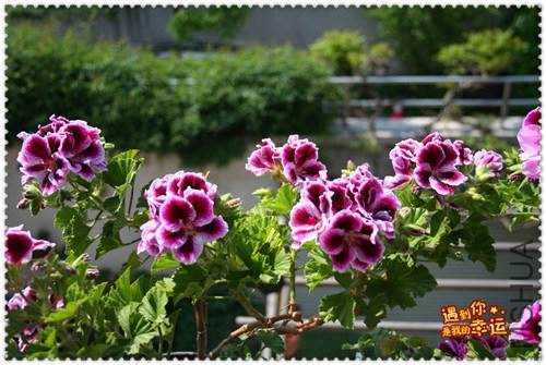 ��Ƭ 145_����.jpg