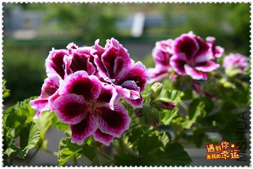 ��Ƭ 146_����.jpg