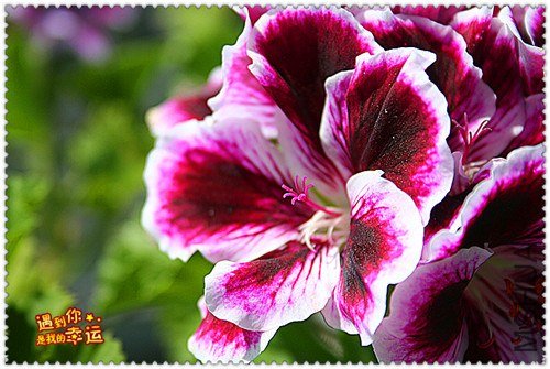 ��Ƭ 147_����.jpg