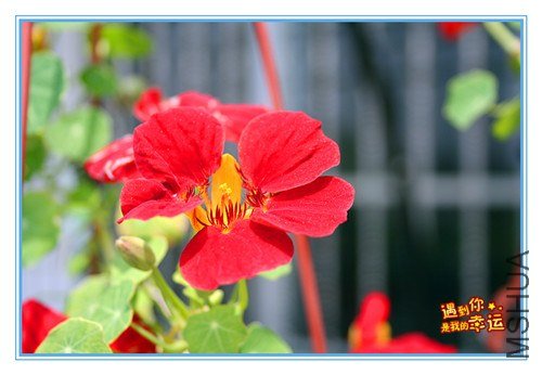 ��Ƭ 059_����.jpg