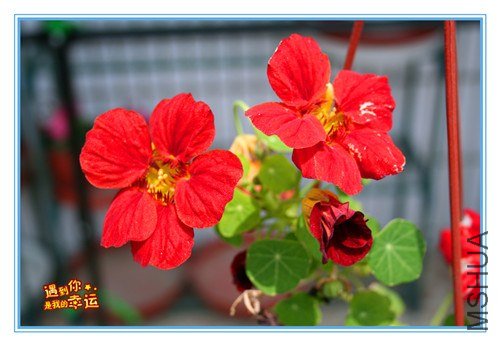 ��Ƭ 063_����.jpg