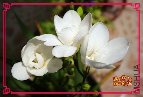 ��Ƭ 074_����.jpg