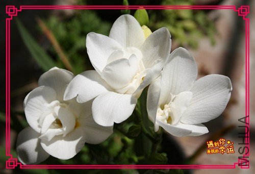 ��Ƭ 075_����.jpg