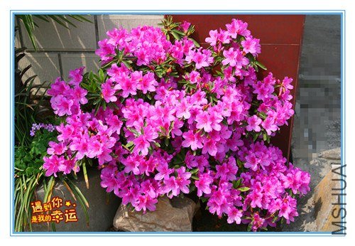 ��Ƭ 127_����.jpg