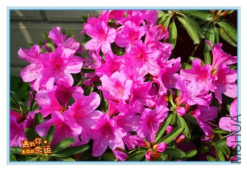 ��Ƭ 129_����.jpg