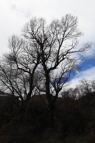 �Ӱ����ӵ�ĥ�ӹ� (9).JPG