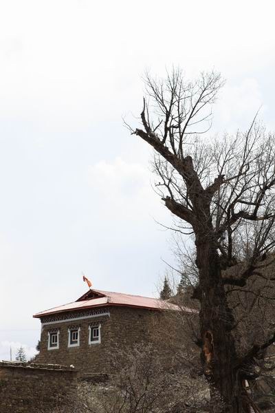 �Ӱ����ӵ�ĥ�ӹ� (10).JPG