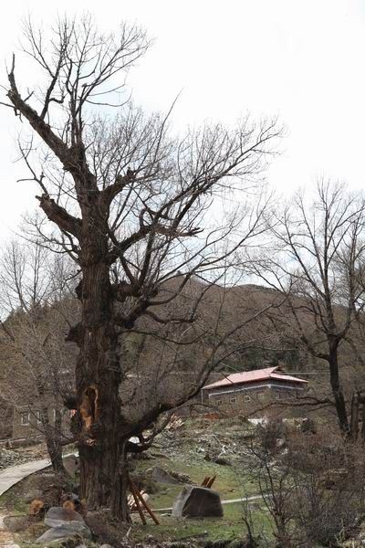 �Ӱ����ӵ�ĥ�ӹ� (11).JPG