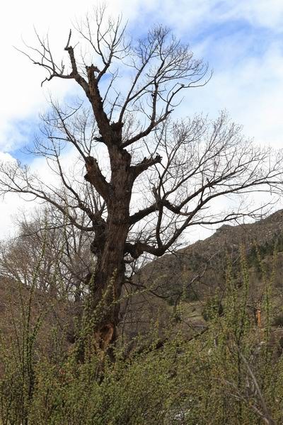 �Ӱ����ӵ�ĥ�ӹ� (12).JPG