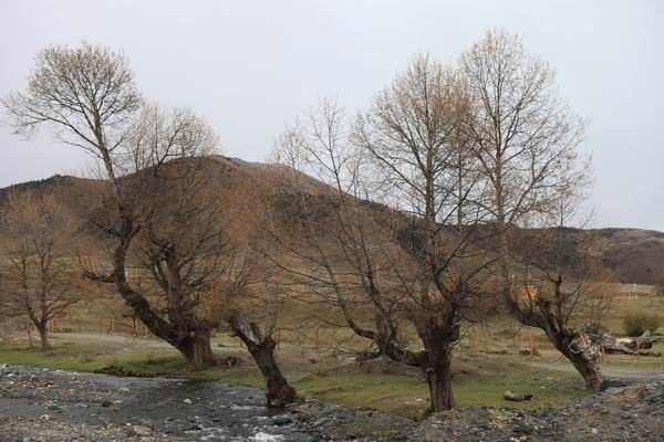 �Ӱ����ӵ�ĥ�ӹ� (14).JPG