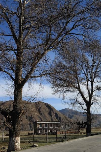 �ڰ�ɣ�Ŷ��ߵĴ�ׯת�� (1).JPG