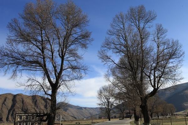 �ڰ�ɣ�Ŷ��ߵĴ�ׯת�� (2).JPG