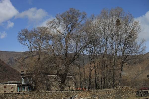 �ڰ�ɣ�Ŷ��ߵĴ�ׯת�� (4).JPG