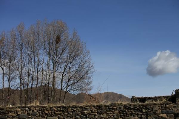 �ڰ�ɣ�Ŷ��ߵĴ�ׯת�� (5).JPG