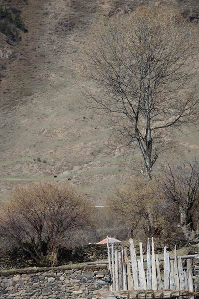 �ڰ�ɣ�Ŷ��ߵĴ�ׯת�� (6).JPG