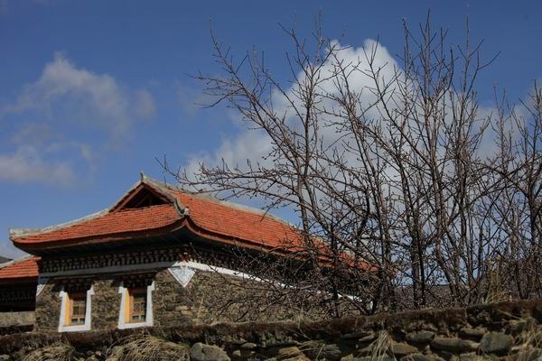 �ڰ�ɣ�Ŷ��ߵĴ�ׯת�� (7).JPG