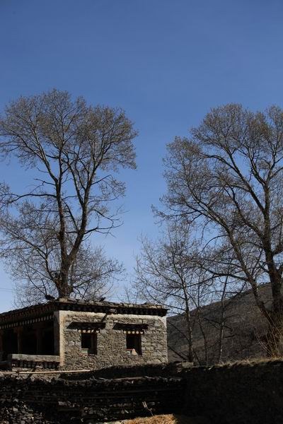 �ڰ�ɣ�Ŷ��ߵĴ�ׯת�� (8).JPG