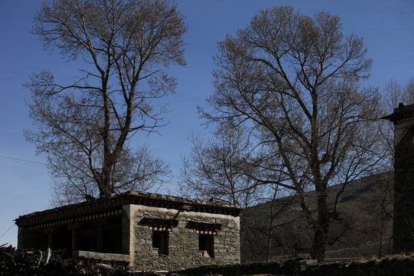 �ڰ�ɣ�Ŷ��ߵĴ�ׯת�� (9).JPG