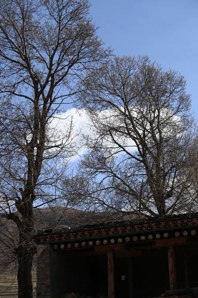 �ڰ�ɣ�Ŷ��ߵĴ�ׯת�� (10).JPG