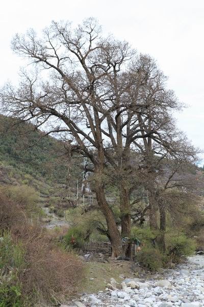 �����ڴ�����ú����� (3).JPG