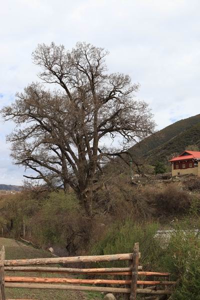 �����ڴ�����ú����� (4).JPG