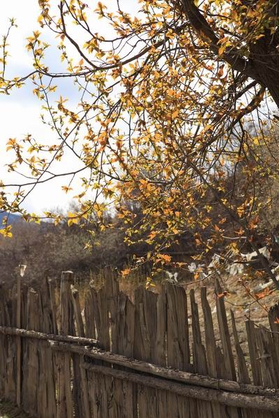 �����ڴ�����ú����� (7).JPG