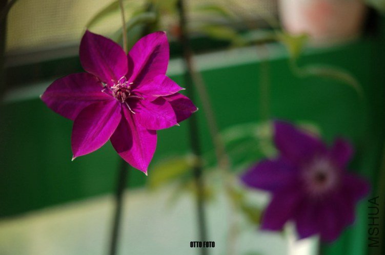 DSC_3432_����.jpg