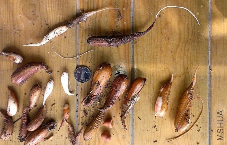 IMAG0718.jpg