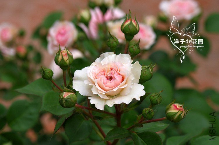 IMGP5845.JPG