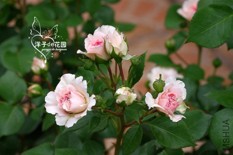 IMGP5847.JPG